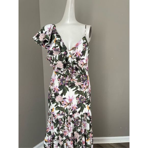 No Pise La Grama
Aracea Asymmetric Ruffled Maxi Dress - Picture 7 of 11